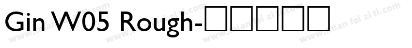 Gin W05 Rough字体转换